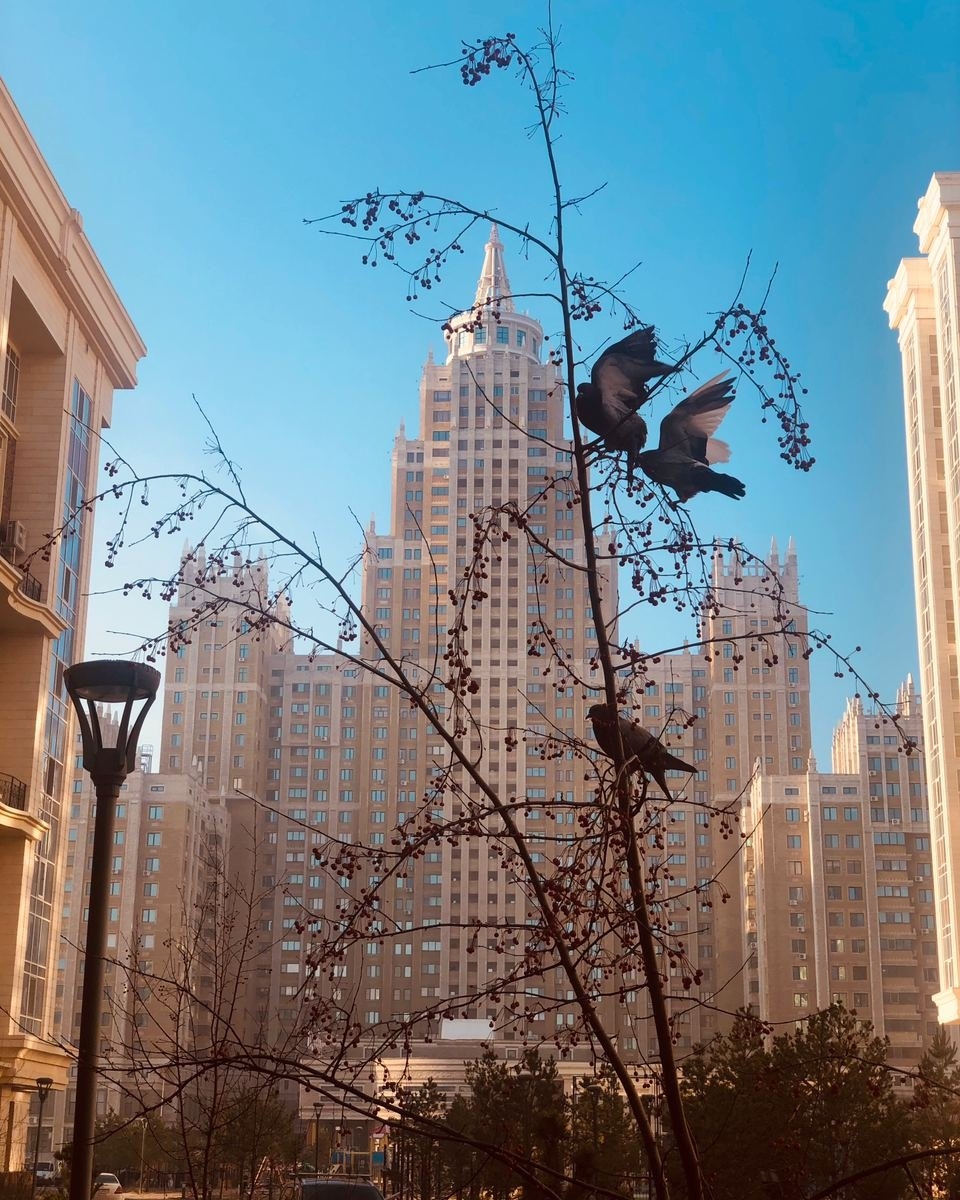 sxodim.astana_123848000_1219832938399257_5528236535329033362_n.jpg