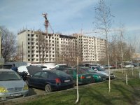 IMG_20190327_101221.jpg